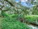 Serene creek with lush vegetation and Spanish moss at 7301 Pierce Harwell Rd, Plant City, FL 33565