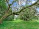 Mature oak tree with Spanish moss, creating a tranquil atmosphere at 7301 Pierce Harwell Rd, Plant City, FL 33565