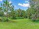 Lush green pasture with various tree species at 7301 Pierce Harwell Rd, Plant City, FL 33565