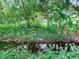Tranquil creek bordered by abundant greenery at 7301 Pierce Harwell Rd, Plant City, FL 33565