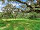 Open pasture area with large oak tree in the background at 7301 Pierce Harwell Rd, Plant City, FL 33565