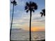 Scenic waterfront sunset view with palm trees in silhouette at 4950 Bayshore Blvd # 13C, Tampa, FL 33611