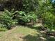 Backyard with fruit trees and a wooden fence at 3275 Fox Lake Dr, Tampa, FL 33618