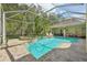 Screened pool and spa with spacious patio and lush landscaping at 10110 Radcliffe Dr, Tampa, FL 33626