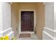 Dark brown front door with sidelight and welcome mat at 26607 Chimney Spire Ln, Wesley Chapel, FL 33544