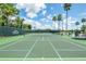 Community tennis court at Tampa Bay Golf and Country Club at 9343 Rolling Circle, San Antonio, FL 33576