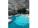 Backyard pool with sparkling clear water and red brick trim, with a screen enclosure at 2011 Green Juniper Ln, Brandon, FL 33511