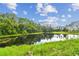 Serene pond view with lush green landscape and trees at 3048 Sunwatch Dr, Wesley Chapel, FL 33544