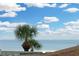 Stunning ocean view with palm trees and sailboat at 17920 Gulf Blvd # 205, Redington Shores, FL 33708