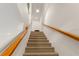 Carpeted stairs leading to the upper level at 5313 Bayshore Blvd # 5313, Tampa, FL 33611