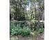 Serene pond view with lush greenery and tall trees at 6812 Woodsman Dr, Wesley Chapel, FL 33544