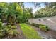 Landscaped backyard with a grass pathway, tropical plants, and a stone wall at 918 Shoals Landing Dr, Brandon, FL 33511