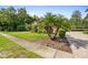 Landscaped yard with palm trees and a brick driveway at 918 Shoals Landing Dr, Brandon, FL 33511