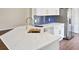 Close-up of kitchen island with white quartz countertop, gold faucet and sink, and stainless steel dishwasher at 26933 Carmen Pl, Lutz, FL 33559
