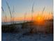 Orange sunset over the ocean seen through beach grass at 7530 Palm Island S Dr # 1413, Placida, FL 33946