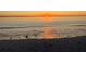 Scenic beach sunset with shells and calm ocean waves at 7530 Palm Island S Dr # 1413, Placida, FL 33946