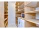 Large walk-in pantry with ample shelving for storage at 19462 Paddock View Dr, Tampa, FL 33647