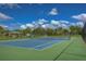 Well-maintained tennis court with green and blue surface at 19462 Paddock View Dr, Tampa, FL 33647