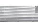 White mini blinds on a window at 19433 Whispering Brook Dr, Tampa, FL 33647