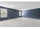 Spacious bedroom with dark blue walls and neutral carpeting at 19433 Whispering Brook Dr, Tampa, FL 33647