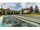 Well-maintained bocce ball courts with ample space for friendly competition at 4977 Sapphire Sound Dr, Wimauma, FL 33598