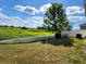 Landscaped backyard with a large tree and open field views at 11883 Brighton Knoll Loop, Riverview, FL 33579