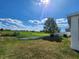 Landscaped backyard with a large tree and open field views at 11883 Brighton Knoll Loop, Riverview, FL 33579