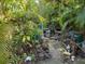 Overgrown backyard with debris and unkempt foliage at 2001 15Th S Ave, St Petersburg, FL 33712