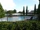 Community pool with lounge chairs and surrounding greenery at 2387 Bartolo Dr, Land O Lakes, FL 34639