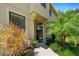 Inviting front entrance featuring a modern door, manicured landscaping, and vibrant tropical plants at 2539 Silverback Ct, Palm Harbor, FL 34684