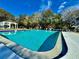 Inviting community pool with surrounding trees at 8651 10Th N St # 118, St Petersburg, FL 33702