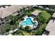 Inviting community pool with surrounding landscaping and patio furniture at 2539 Silverback Ct, Palm Harbor, FL 34684