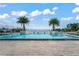 Resort-style pool with palm trees and water views at 3401 Bayshore Blvd # 1801, Tampa, FL 33629