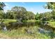 Serene pond with fountain, surrounded by lush vegetation at 6030 62Nd N St, St Petersburg, FL 33709