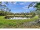 Serene pond view with lush greenery and a white fence in the background at 655 Appaloosa Rd, Tarpon Springs, FL 34688