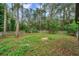 Private backyard with a white picket fence and mature trees at 655 Appaloosa Rd, Tarpon Springs, FL 34688