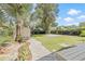 Lush backyard featuring a shed, tall trees, and a concrete patio at 6907 N 20Th St, Tampa, FL 33610