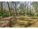 Private wooded area behind the home with leaf covered ground at 244 Lark Ave, Brooksville, FL 34601