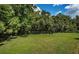 Expansive grassy backyard bordered by lush trees and a fence at 180 Keystone Palms Blvd, Tarpon Springs, FL 34688