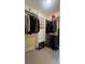 Spacious walk-in closet with plenty of storage at 29731 Chapel Park Dr, Wesley Chapel, FL 33543