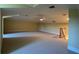 Bonus room featuring carpeted floors and a ceiling fan at 29731 Chapel Park Dr, Wesley Chapel, FL 33543