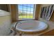 Bathroom featuring a luxurious soaking tub and a tranquil view at 29731 Chapel Park Dr, Wesley Chapel, FL 33543