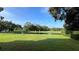 Large backyard with pond and lush greenery at 29731 Chapel Park Dr, Wesley Chapel, FL 33543