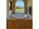 Bathroom with a large garden tub and a view at 29731 Chapel Park Dr, Wesley Chapel, FL 33543