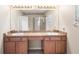 Double vanity bathroom with large mirror and shower at 12161 Cavern Rd, Spring Hill, FL 34609