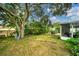 Relaxing backyard with hammock and lush landscaping at 1122 Vinetree Dr, Brandon, FL 33510