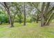Landscaped backyard with mature oak trees and lush grass at 1905 E Mulberry Dr # 2, Tampa, FL 33604