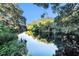 Serene river view with lush greenery and reflection at 1905 E Mulberry Dr # 1, Tampa, FL 33604