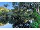 Tranquil river view with lush foliage and tree reflections in the water at 1905 E Mulberry Dr # 1, Tampa, FL 33604