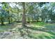 Large backyard with lush green grass and mature trees at 7249 Berry Rd, Zephyrhills, FL 33540